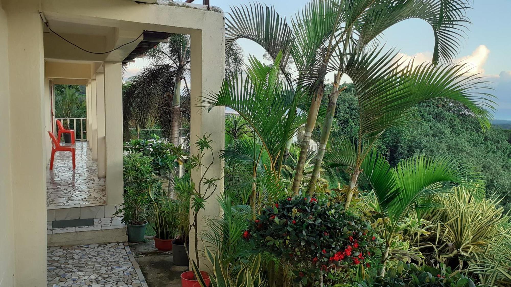 Dave Parker Eco Lodge Hotel Apia Exterior foto