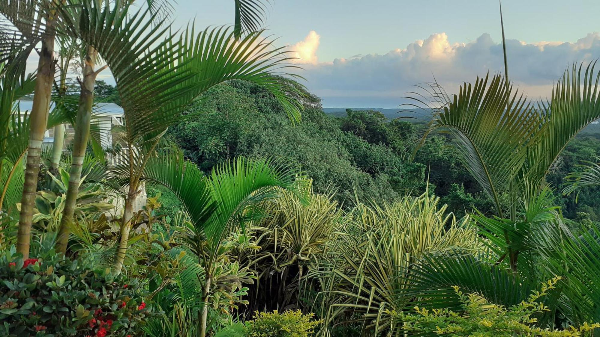 Dave Parker Eco Lodge Hotel Apia Exterior foto